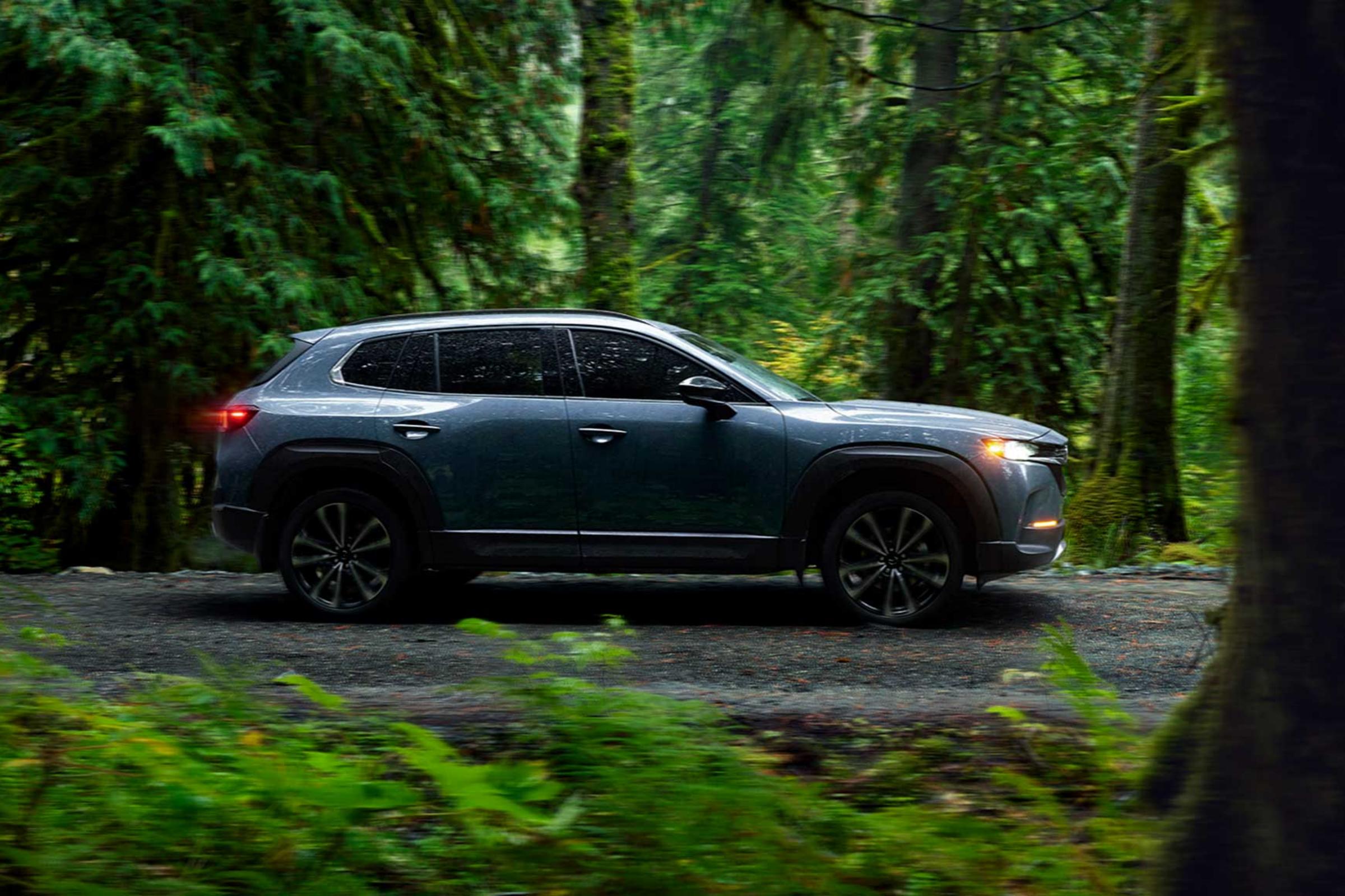CX-50