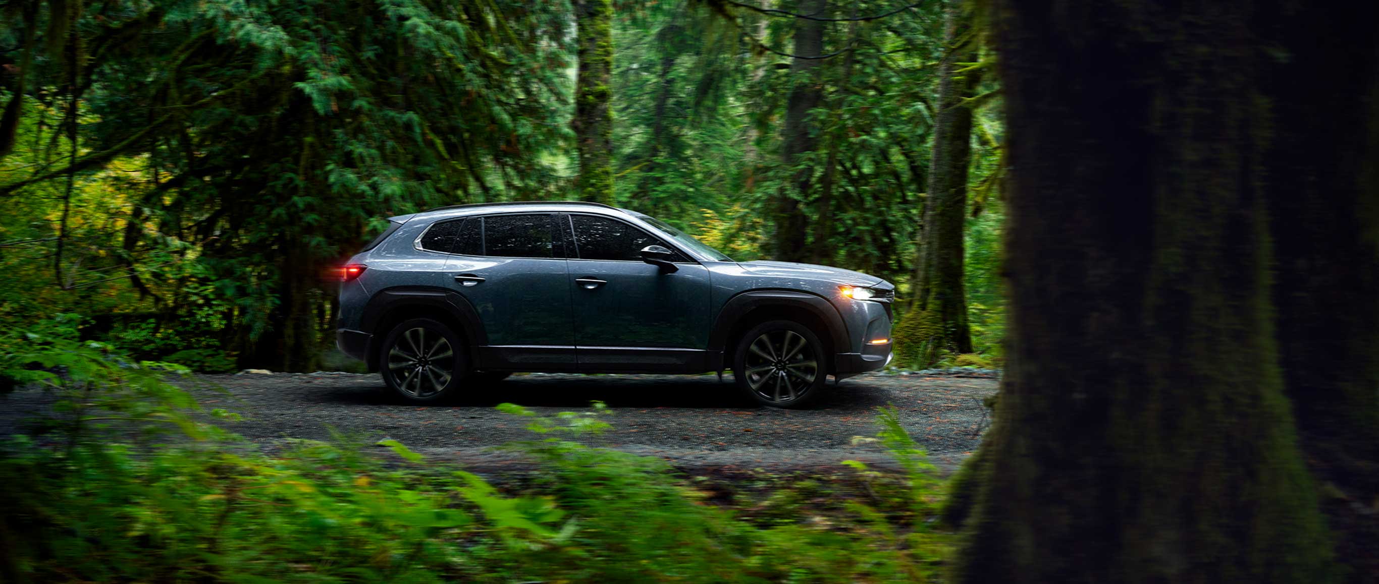 CX-50