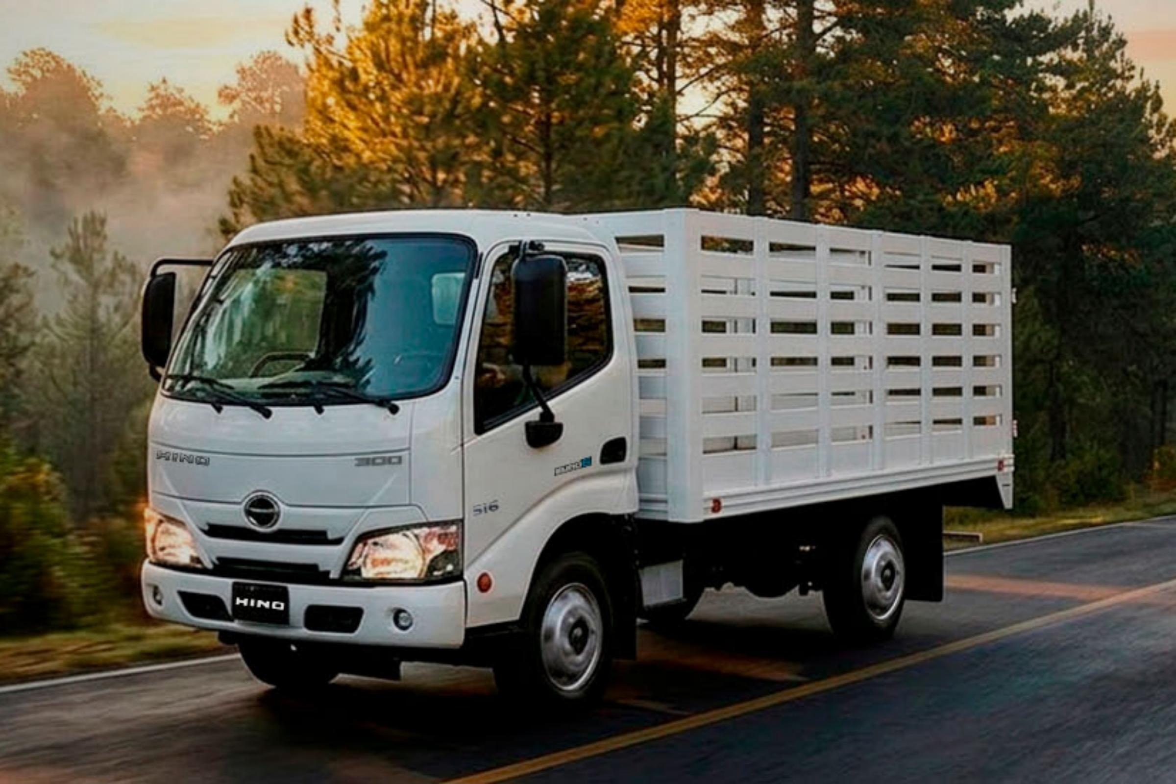 Hino SERIE 300 2027 Modelo 818 Semi Largo