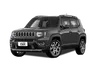 RENEGADE