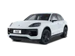 CAYENNE